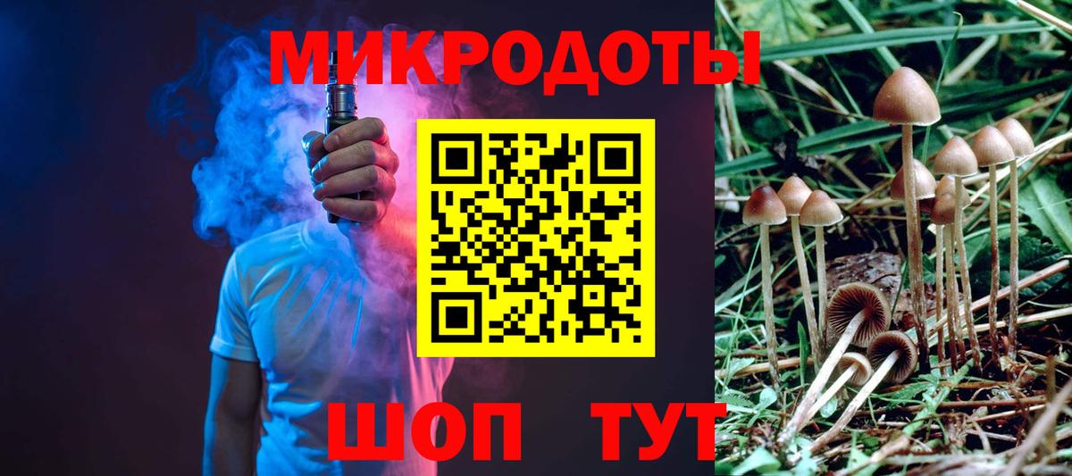 Псилоцибиновые грибы Psilocybe  Вход с VPN  как найти закладки  Кизляр 
